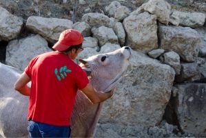 LaSulla_IMG_0429
