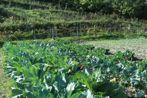LaSulla_IMG_1006
