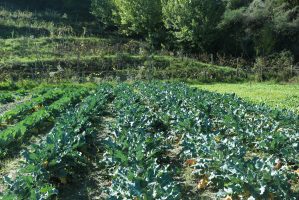 LaSulla_IMG_1007