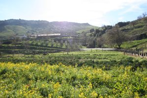 LaSulla_IMG_2701