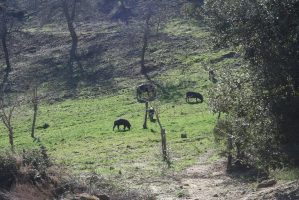 LaSulla_IMG_2757