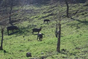 LaSulla_IMG_2759