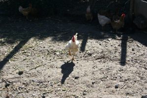 LaSulla_IMG_2793