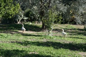 LaSulla_IMG_2801