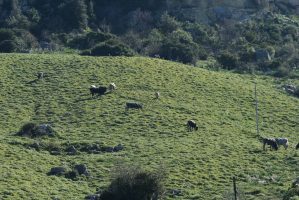 LaSulla_IMG_2862