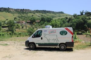LaSulla_IMG_73920619_0619