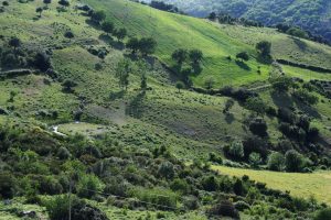 La_Sulla_Azienda_IMG_3259_WEB